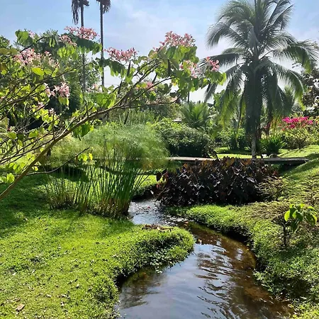 Casa Yami Lodge